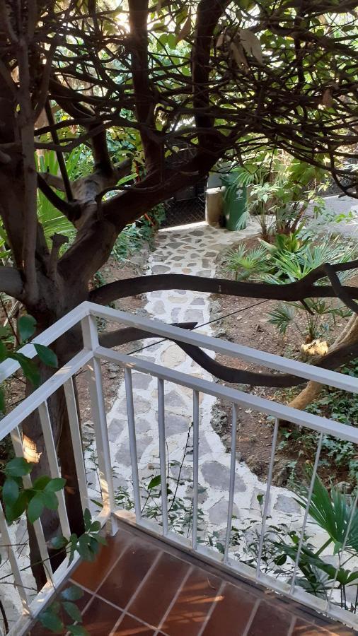 Villa Valkane Pet Friendly 150M From The Stunning Valkane Beach, City Indoor Pools-Fitness And City Mall Pula Exterior photo